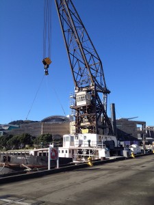 Wellington - Picton-044